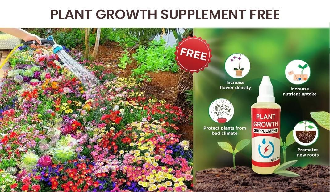 Flower Seeds (Pack of 100) + Plant Growth Supplement Fre