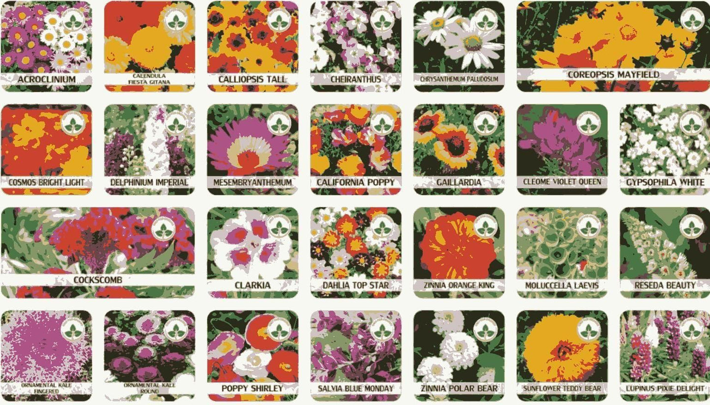 Flower Seeds (Pack of 100) + Plant Growth Supplement Fre