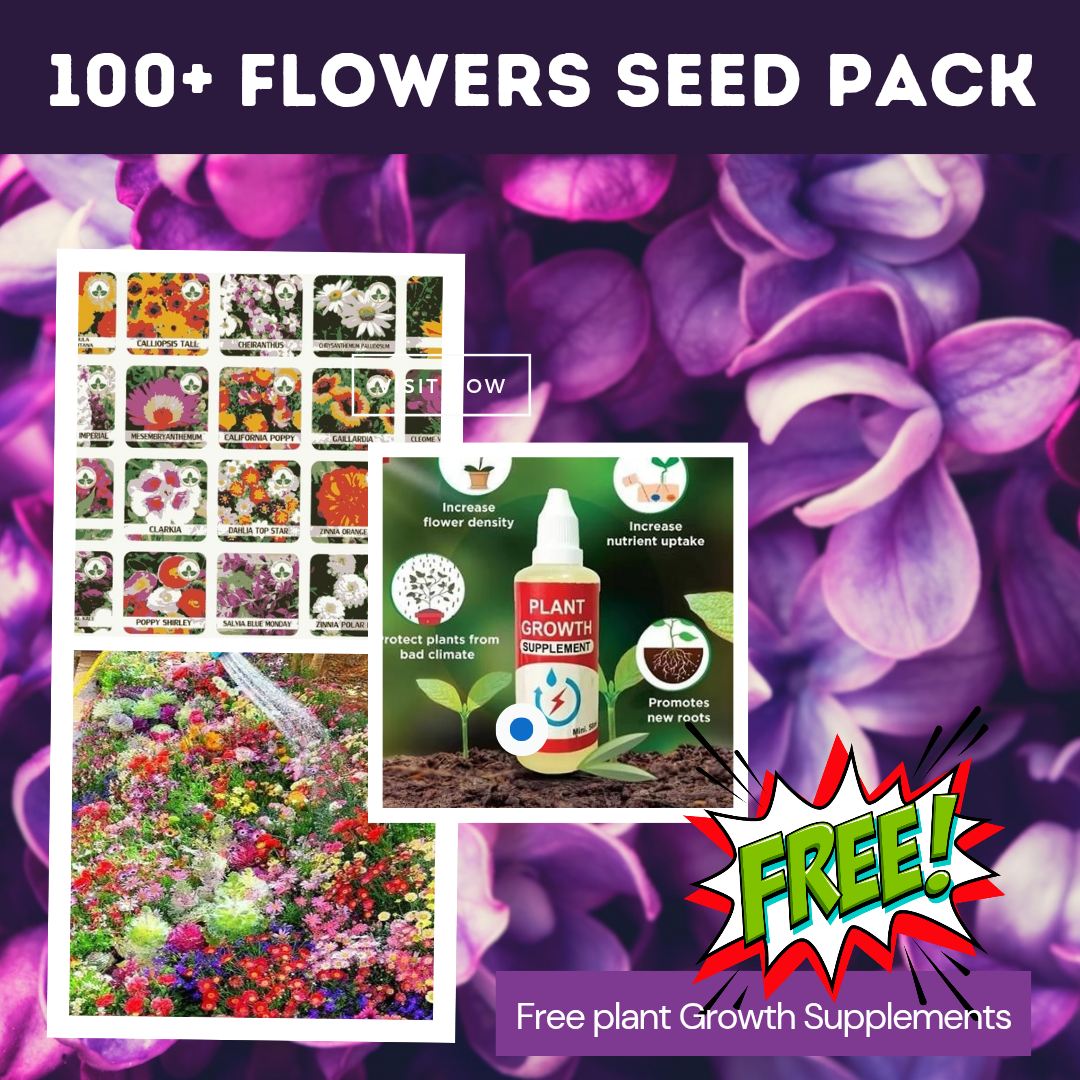 Flower Seeds (Pack of 100) + Plant Growth Supplement Fre