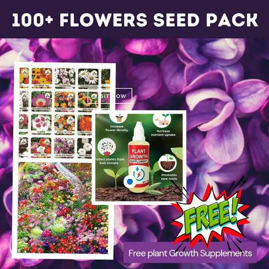 Flower Seeds (Pack of 100) + Plant Growth Supplement Fre